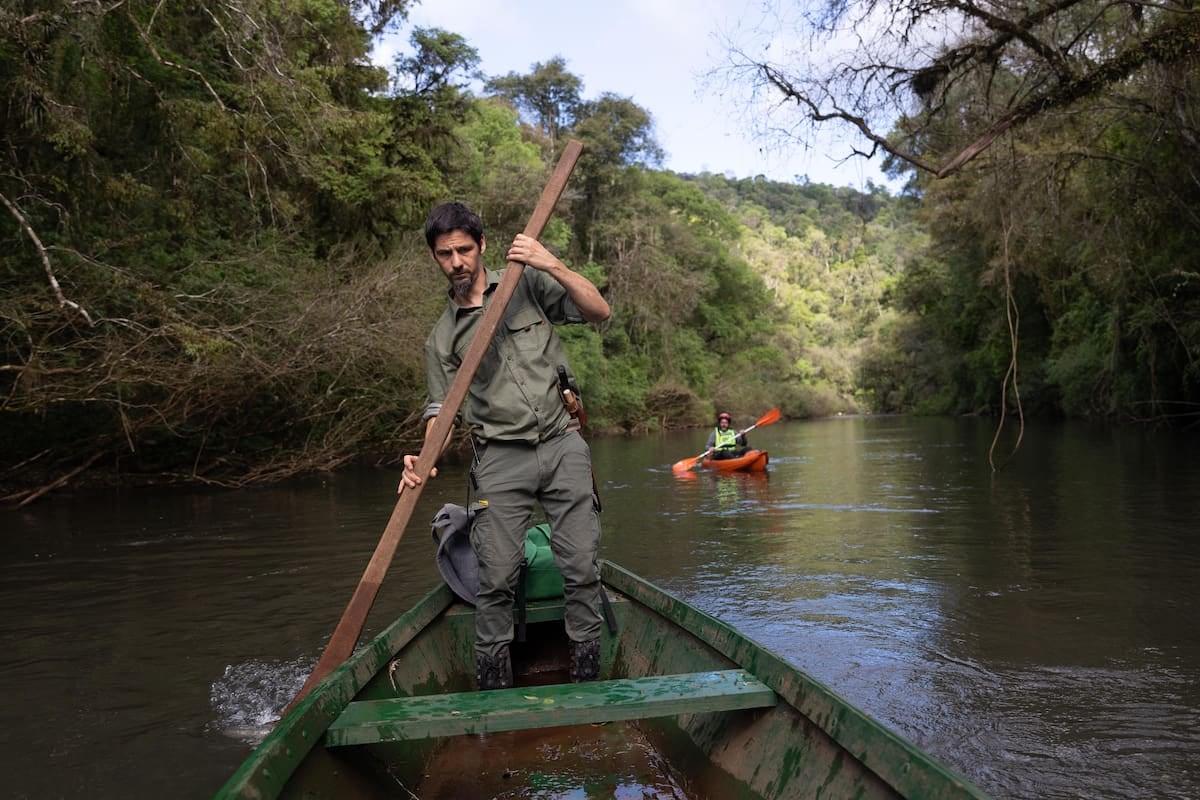 Selva, arroyo y vivero: una reserva en Misiones propone una pausa de dos o tres días en cabañas sobre el agua