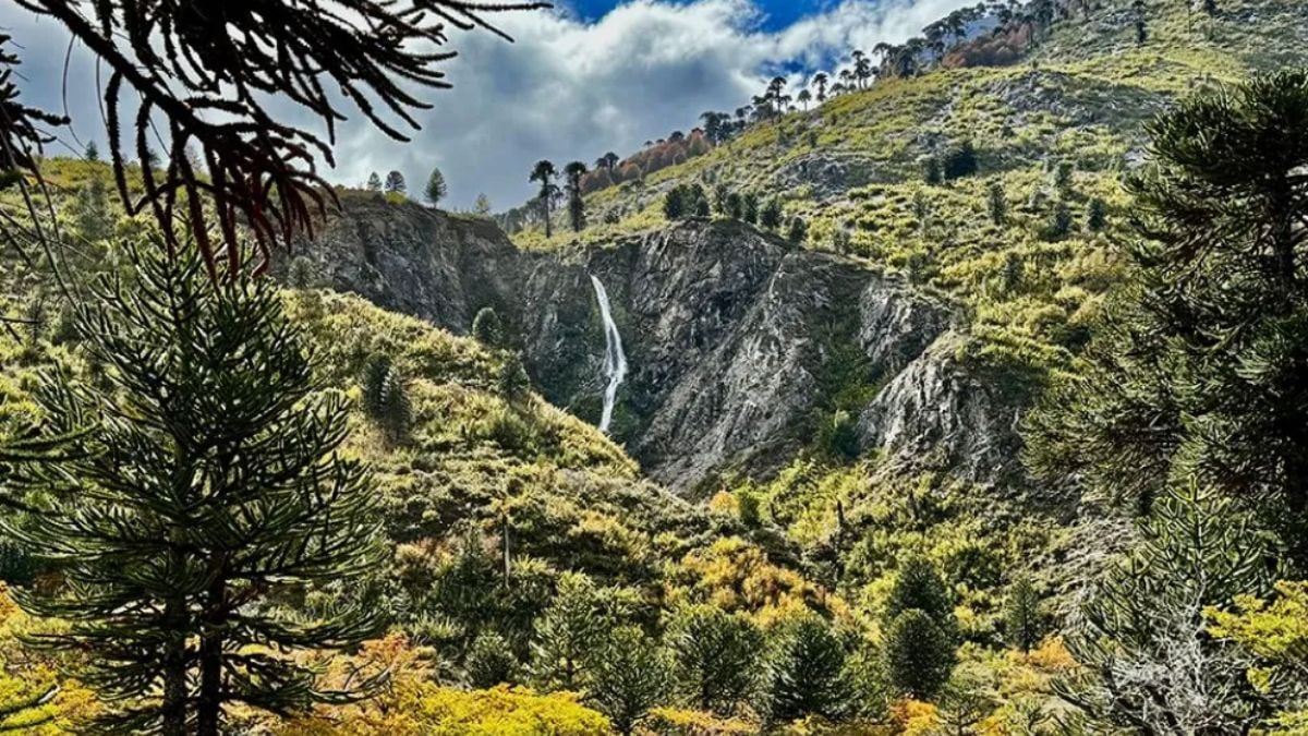 Pulmarí salió a marcar la cancha por la venta ilegal de lotes en su territorio