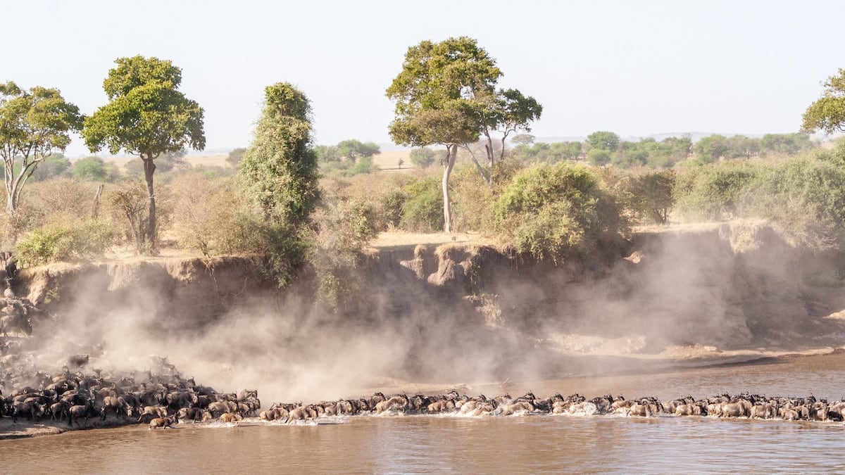 El norte de Tanzania, un mosaico de sabanas, cráteres y comunidades que se recorre entre lodges y campamentos
