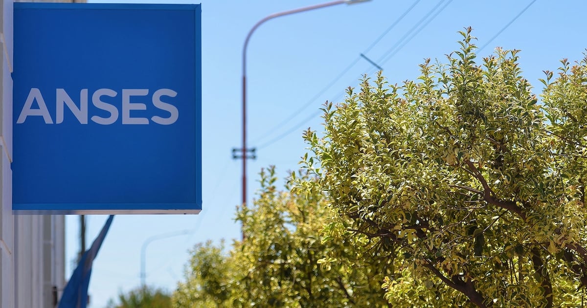 Cronograma de ANSES para octubre: fechas, montos y bono que regirá para los DNI terminados en 2