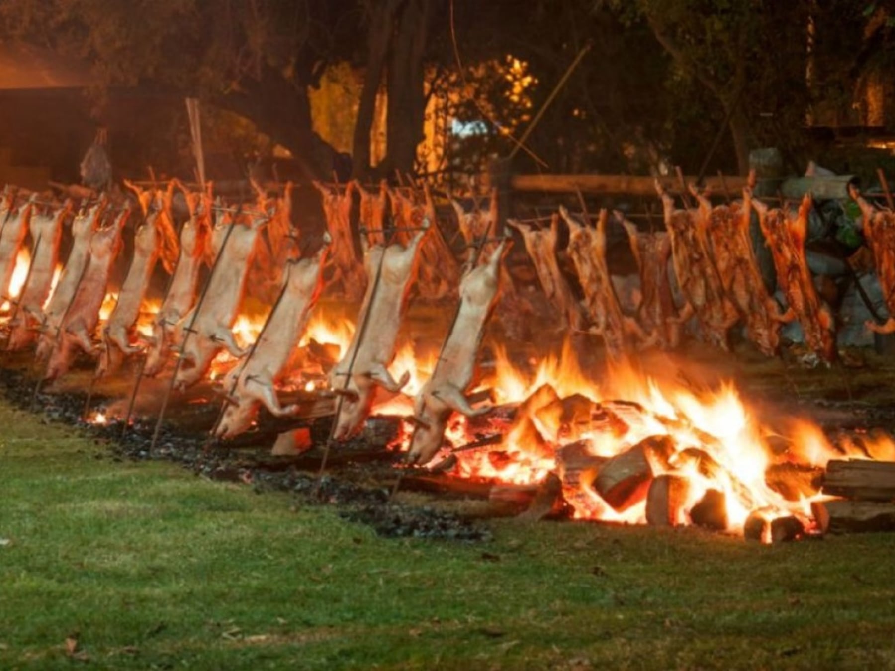Ruta gastronómica por la provincia de Buenos Aires: cinco fiestas para el fin de semana largo de octubre