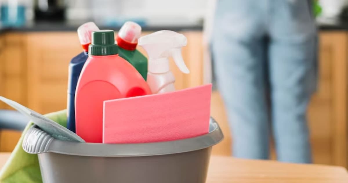 ARCA lanza un recibo de sueldo digital que se completa solo para el personal de casas particulares
