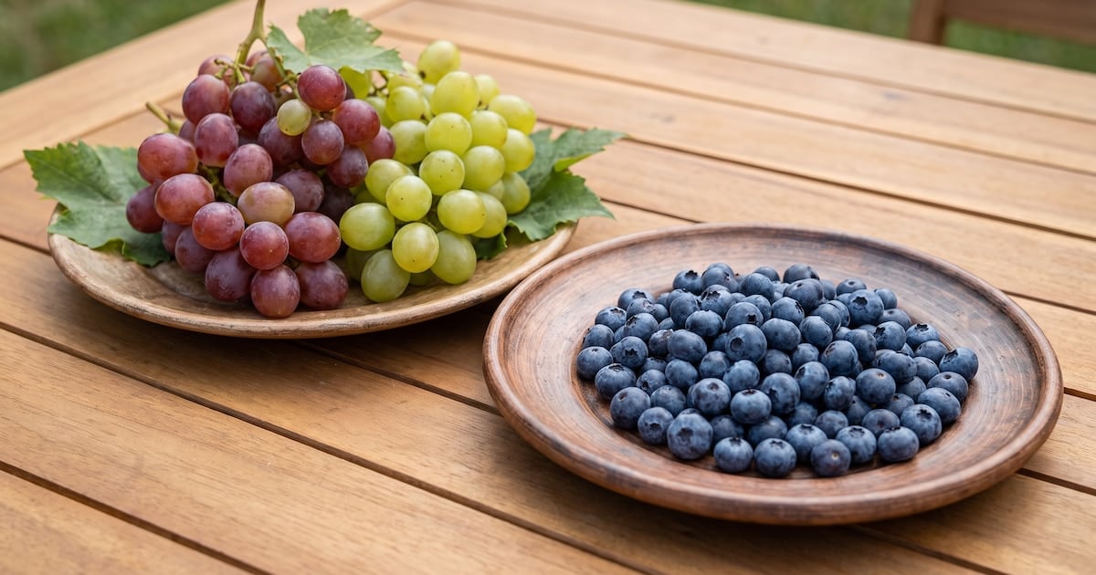 Arándanos o uvas: la fibra marca el pulso del azúcar en sangre y por qué importa cómo se las come
