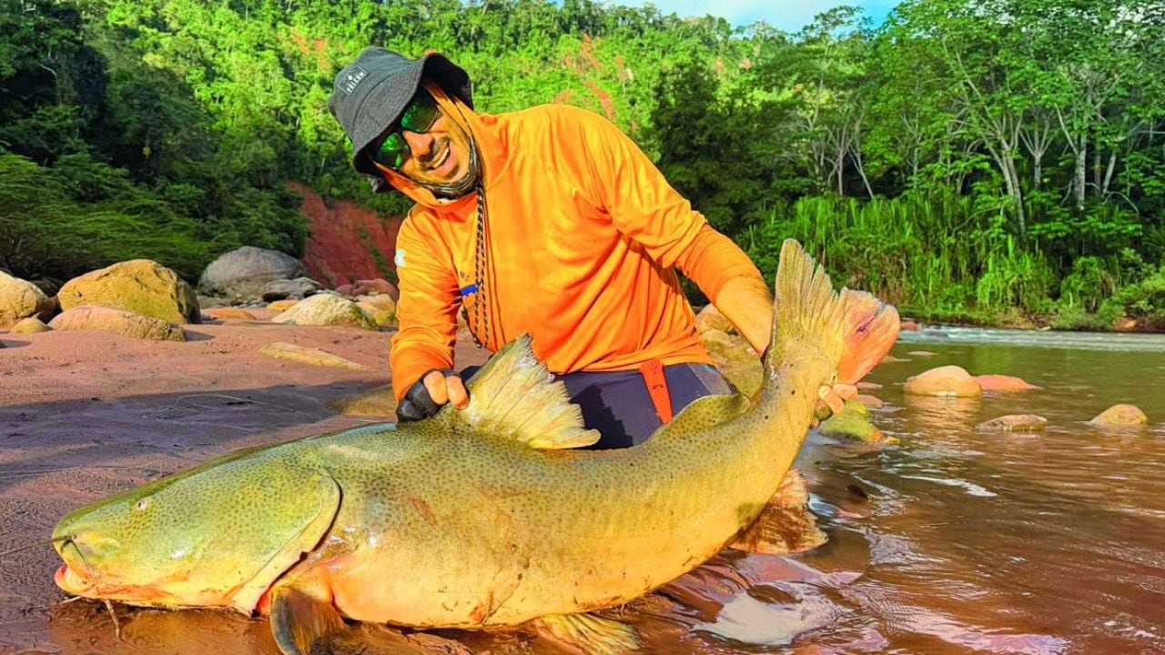 Tambaquí, payara y manguruyú: una semana de pesca con devolución en el río más largo de la Amazonía boliviana