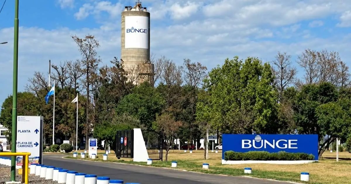Campana: termina la producción de dos insumos para fertilizantes y se pierden 110 puestos de trabajo
